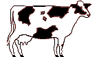 cow.gif - 2995 Bytes